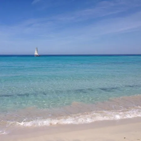 Domaine A Mortella T4 Vue Mer - Accès Plage Saint-Florent (Corsica)